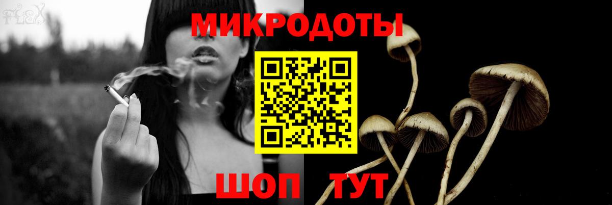 Белебей  Галлюциногенные грибы Psilocybine cubensis  Вход с VPN 